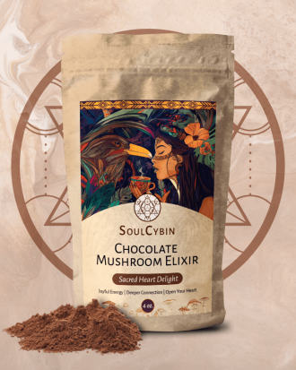 Chocolate Mushroom Elixir