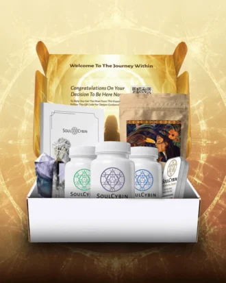 The Journey Within Box