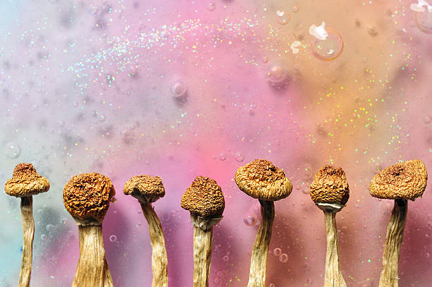 psilocybin gummies,
